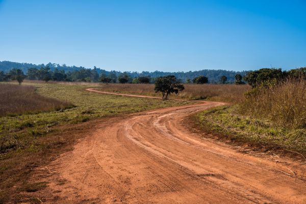 Cost of Dirt Driveway Repair in Waynesville