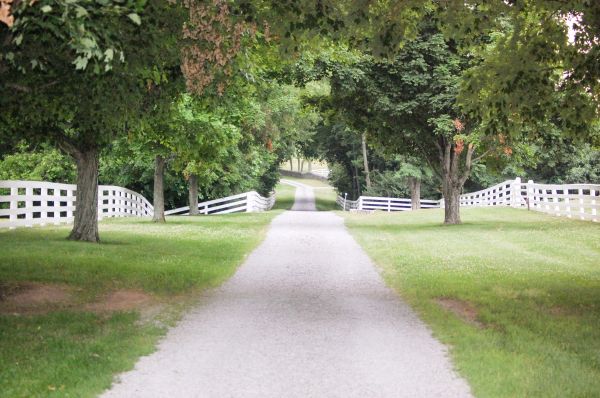 Cost of Gravel Driveway Construction in Waynesville
