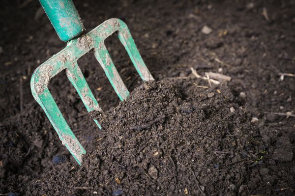 Cost of Topsoil Spreading in Waynesville