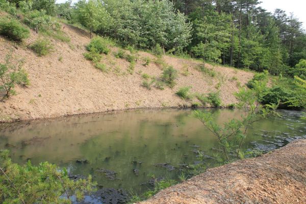 Cost of Pond Erosion Repair in Waynesville