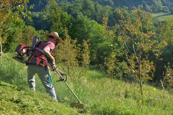 Slope Trimming in Waynesville